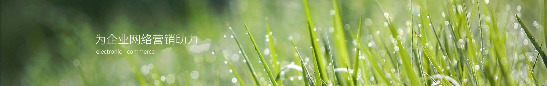عƼչ޹˾